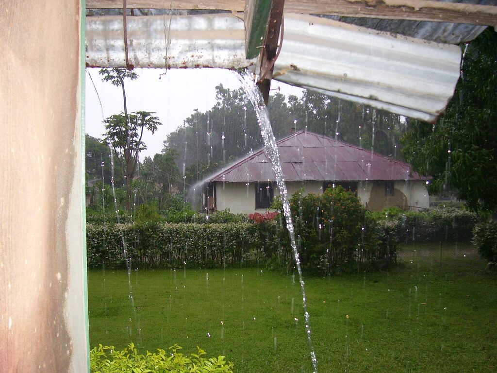 Tips to Stay Healthy during the rainy season